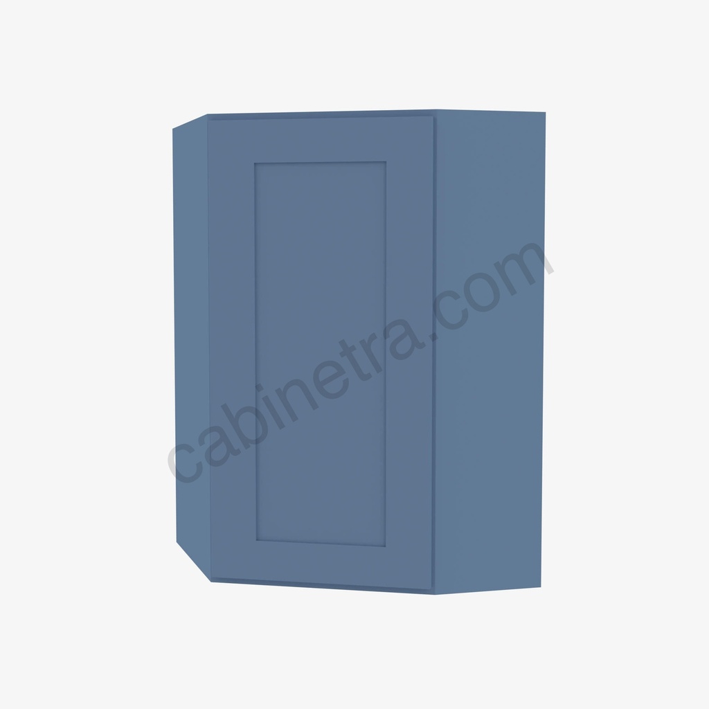 wall-diagonal-corner-cabinet-ax-wdc2442.jpg